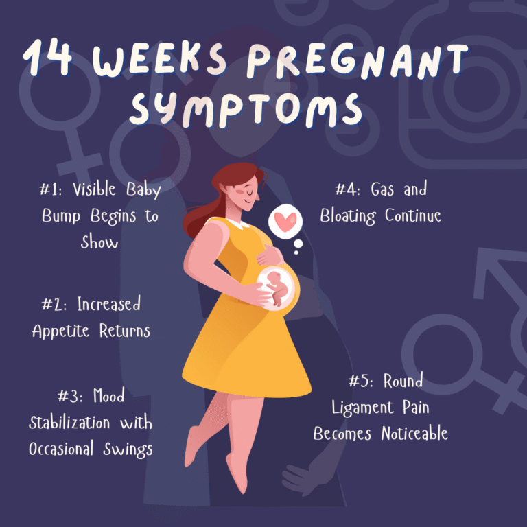 14 Weeks Pregnant Symptoms