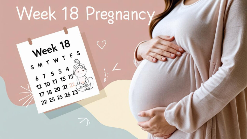 18 weeks pregnant